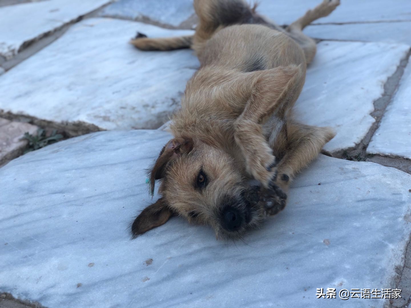 远走土耳其,我在星月之国上天入海(三)