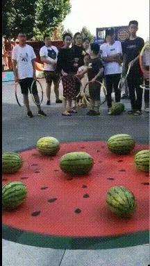 搞笑gif趣图这只狗狗是不是开挂了,搞笑gif趣图乌龟泼猴你别推我