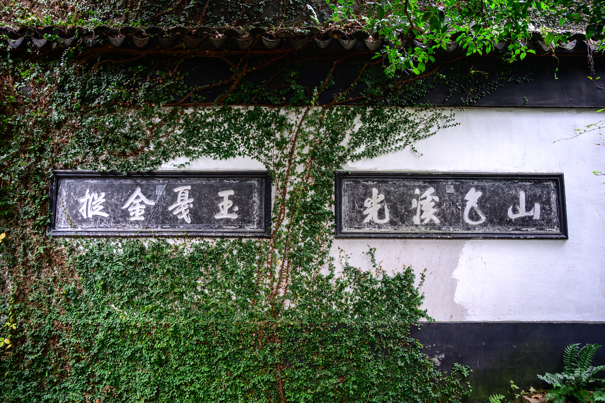 无锡寄畅园太湖石,无锡寄畅园和乾隆的关系