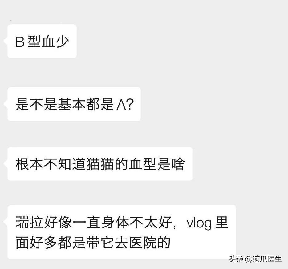 你见过猫咪的眼睛吗,你见过猫咪这种眼神吗