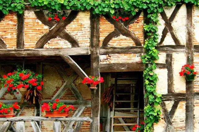 世界10大葡萄酒产区,世界十大顶级葡萄酒产区