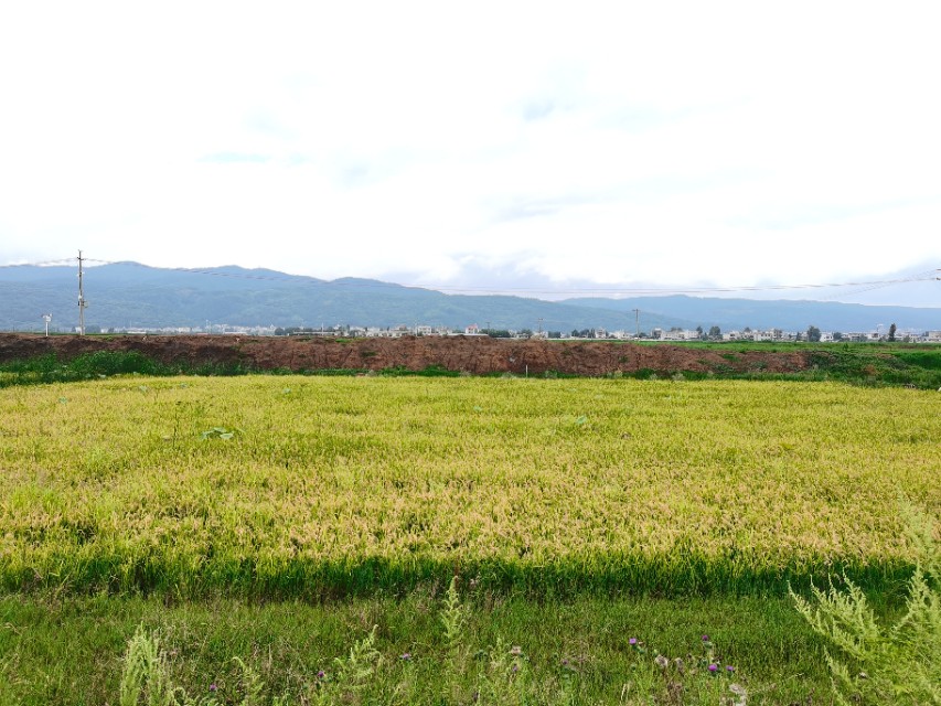 寻甸渔乐谷最新消息,寻甸欢乐世界项目大全