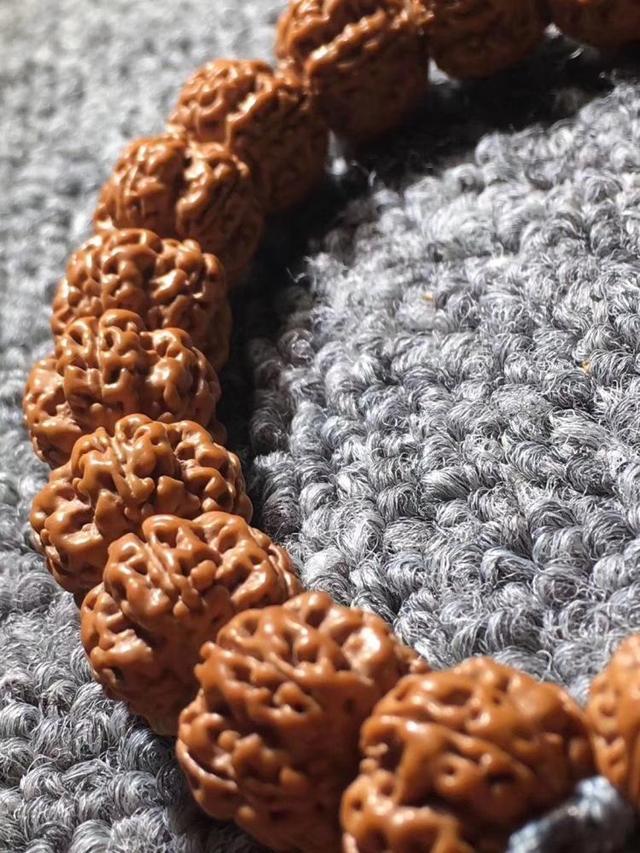 现在不玩金刚菩提了都玩什么,金刚菩提的基础知识