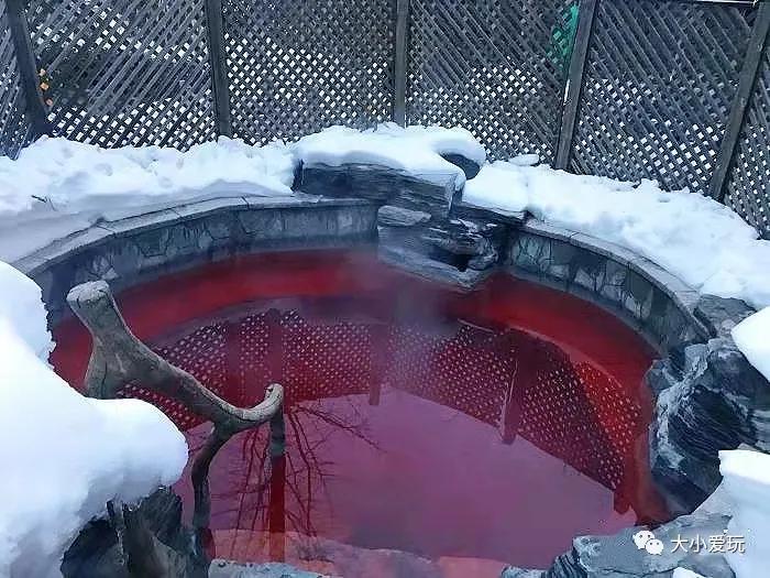 周边游玩推荐适合带孩子温泉,适合带孩子游玩的室内温泉水世界