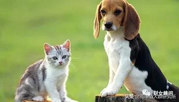 后浪,你一定要了解的下一个高净值群体的主流