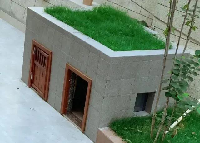 花三年建宠物乐园,花20万给狗打造乐园