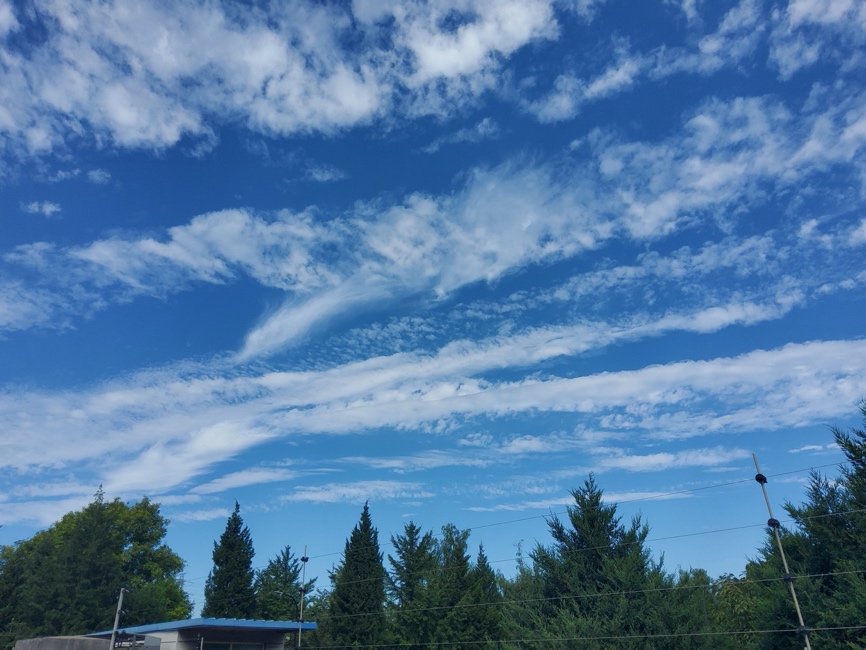 平板市场的全新搅局者？三星GalaxyTabS7体验评测