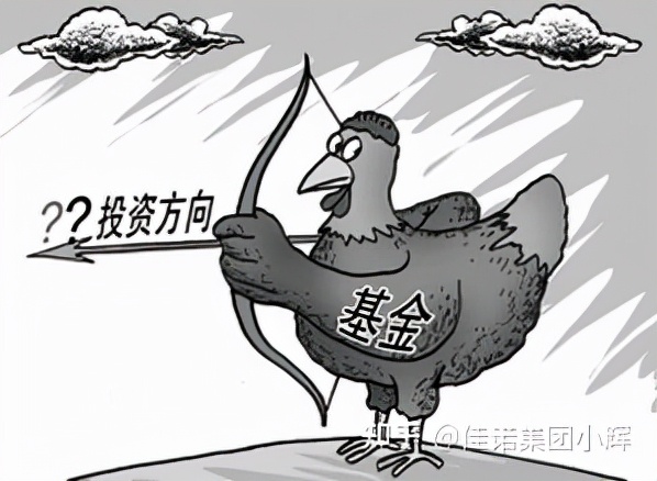 怎么定义基金公司,什么是基金投资公司