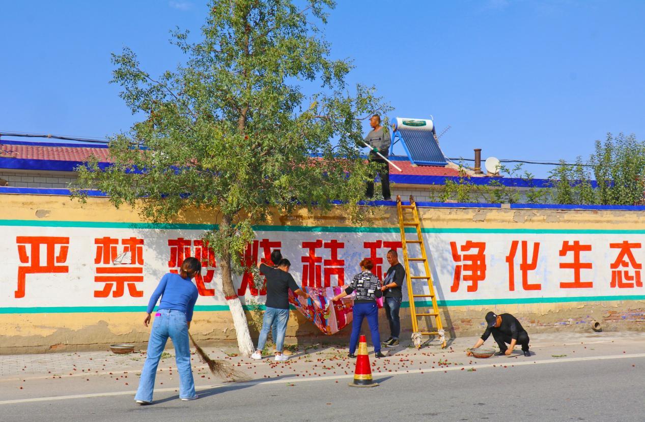 乡土散文,乡土散文经典作品