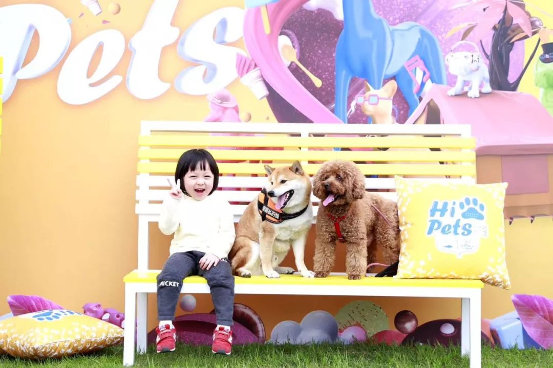 开宠物店成都哪里最好卖,成都最大宠物连锁店