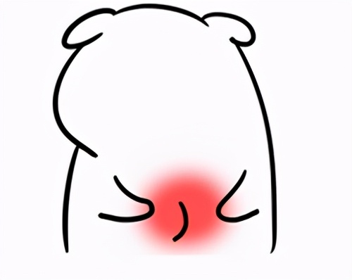 菊花上长菜花,茎上长出的多肉