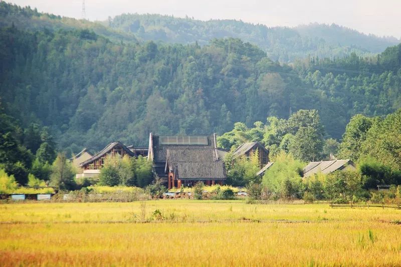 中国最好的柏联酒店,国内最好的柏联酒店