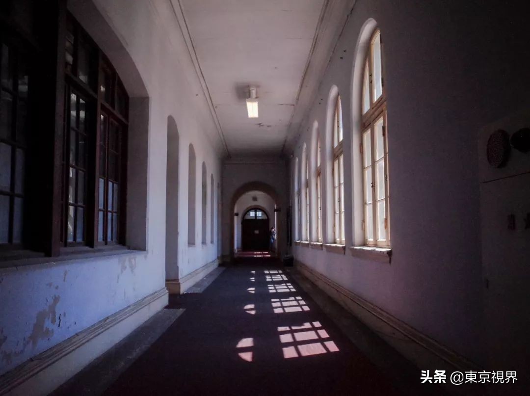 我在京都,攒下一整个春日的绝美樱色送给你。