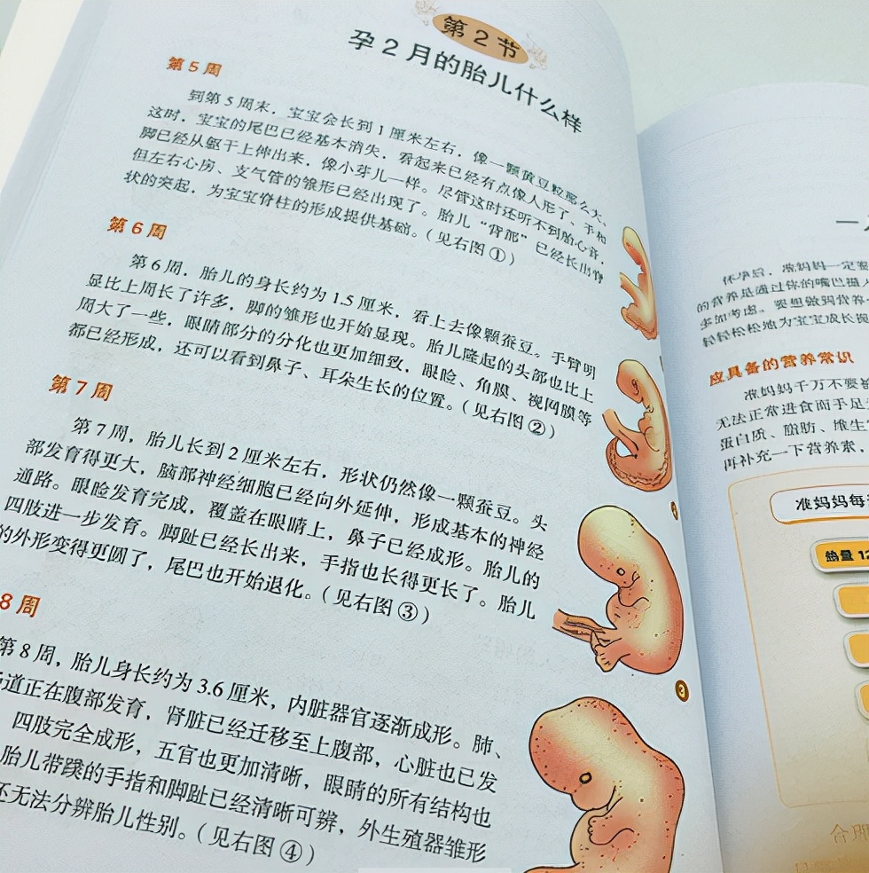 准妈妈要注意孕期常见疾病,准妈妈孕期注意事项