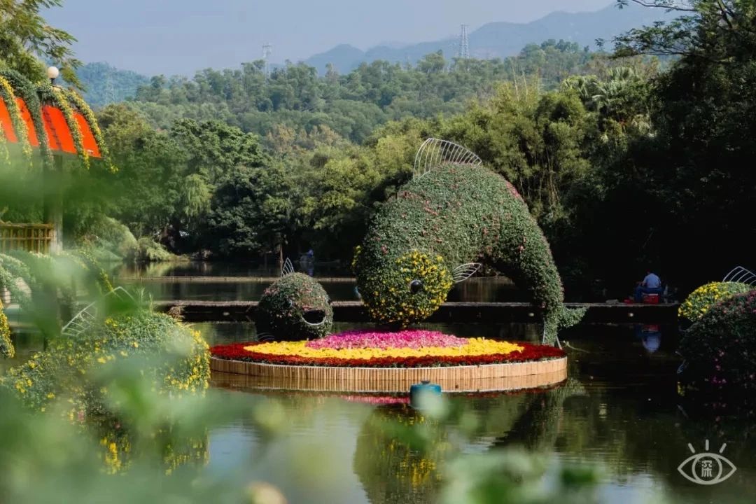 天下最美湖泊西湖,比西湖更美的湖泊