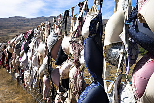 西有维密秀，中有“半面酥胸半面藕”，胸罩只为一饱眼福？（上）