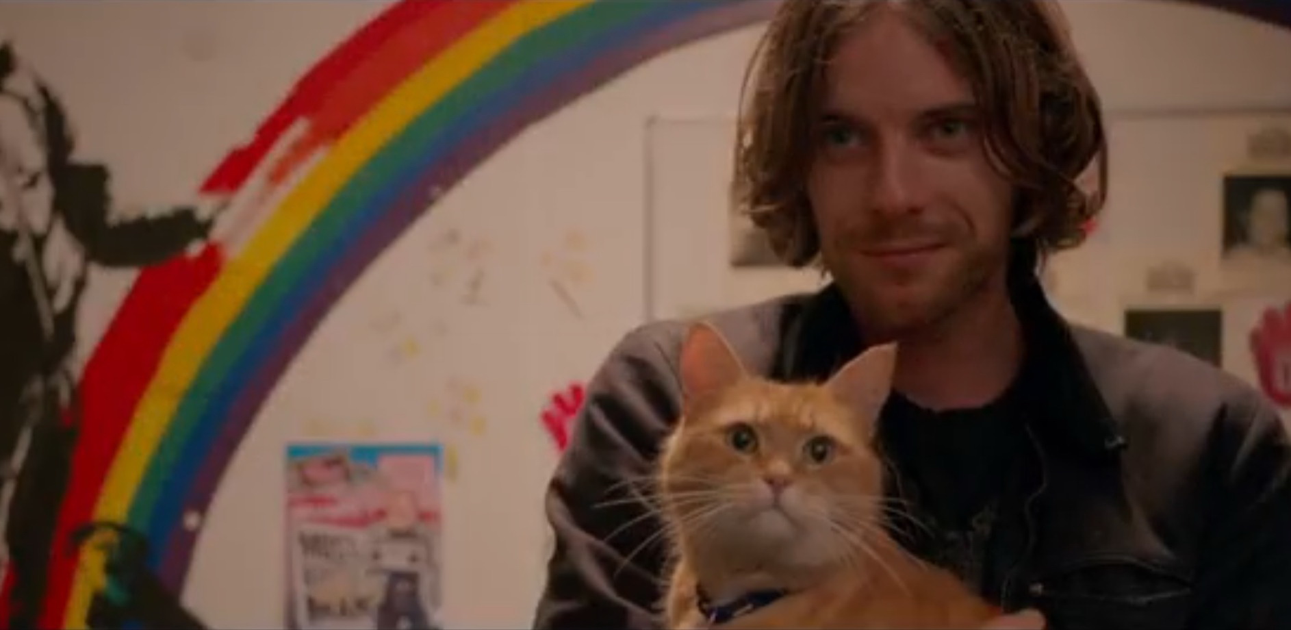 流浪猫鲍勃和美国女主隔窗击掌,猫鲍勃和主人击掌