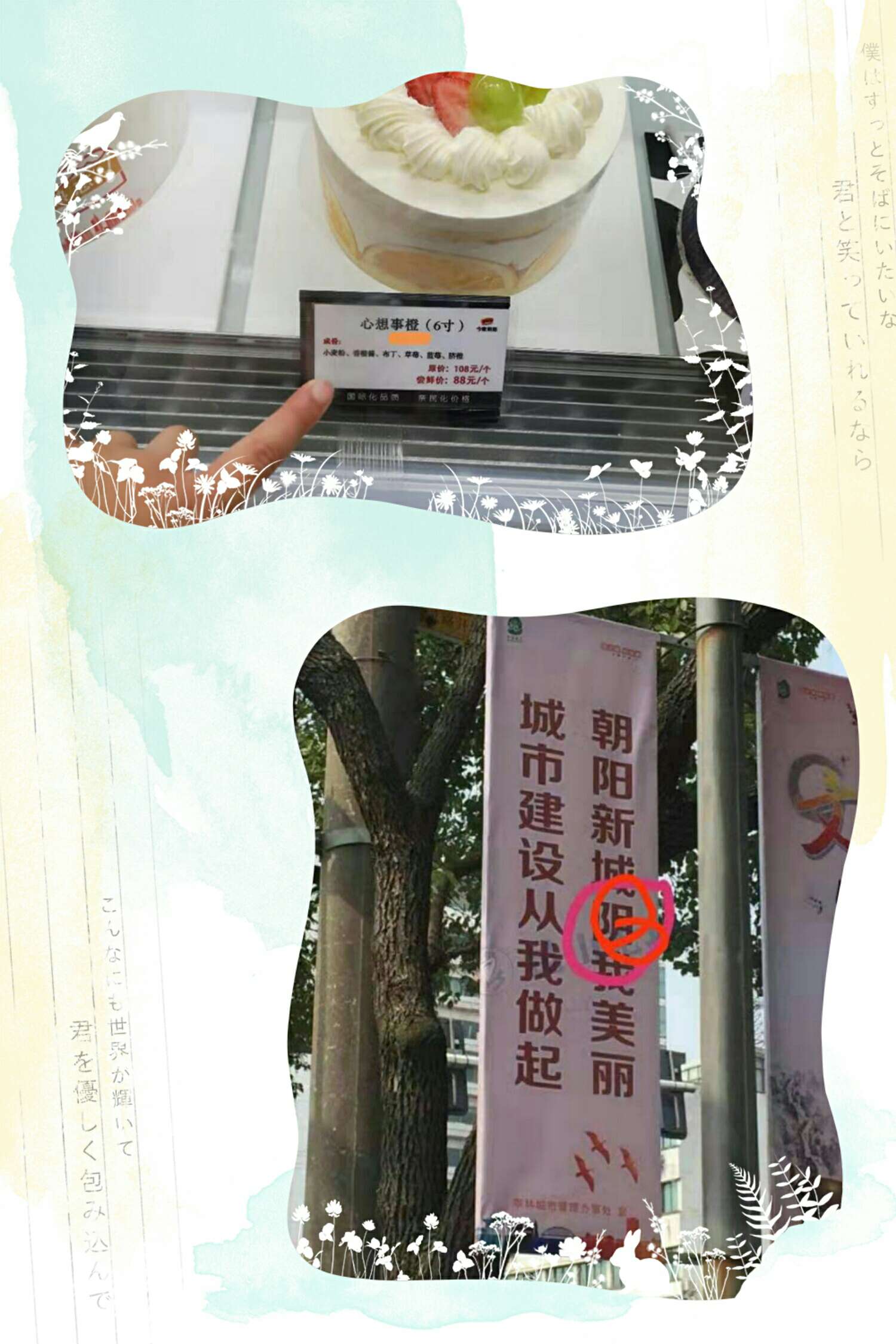 小学啄木鸟行动校外纠正错别字,啄木鸟找错别字实践活动