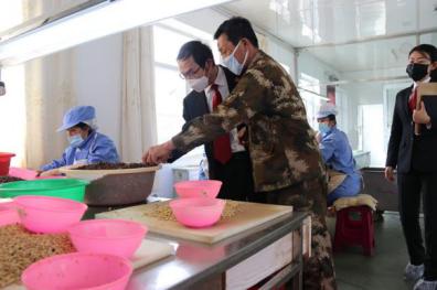 娉曢櫌鐤儏闃叉帶澶嶅伐绾疄鍐呭,娉曢櫌鎶楀嚮鐤儏鍙告硶鍔╁姏澶嶅伐