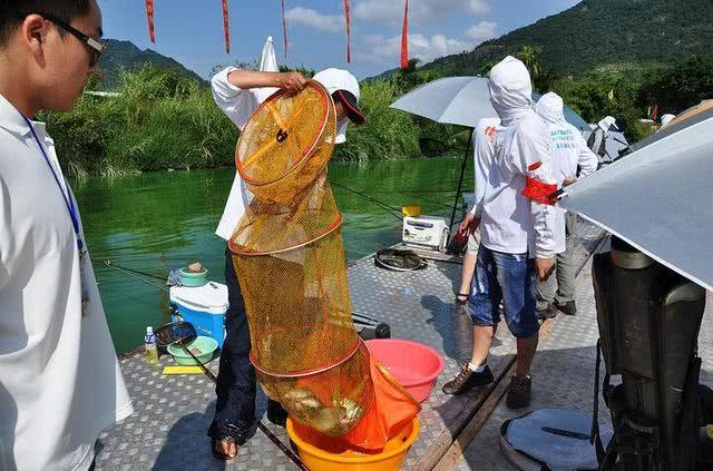 野钓还是传统钓好,野钓选择位置