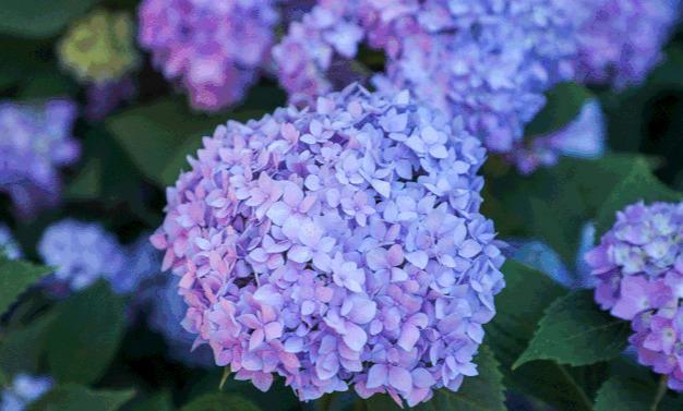 昆明附近一个人玩的地方,昆明周边城市适合一个人去的地方