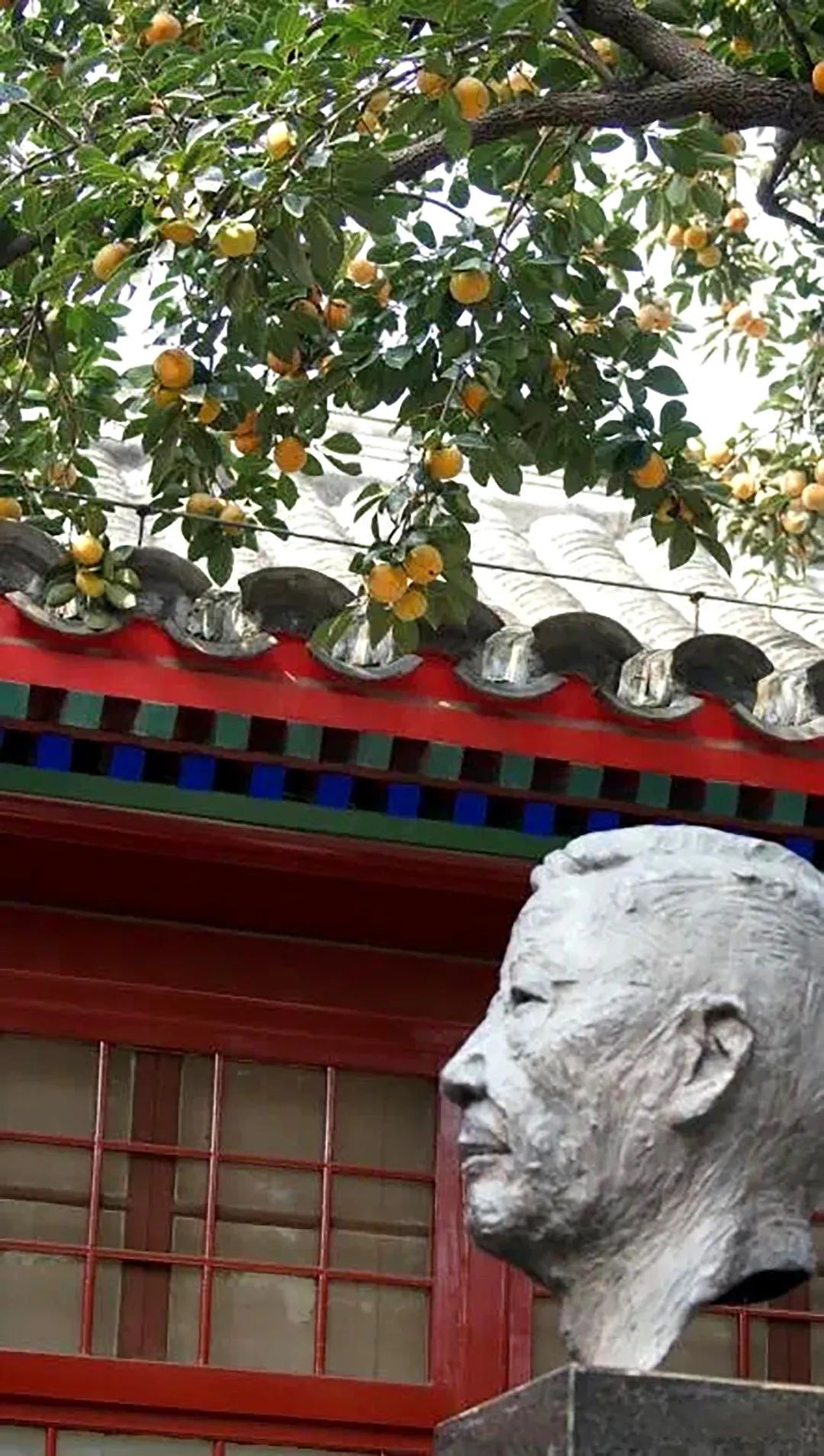 鐢滆湝鐏櫠鏌垮瓙,鐢滆湝鏌垮瓙