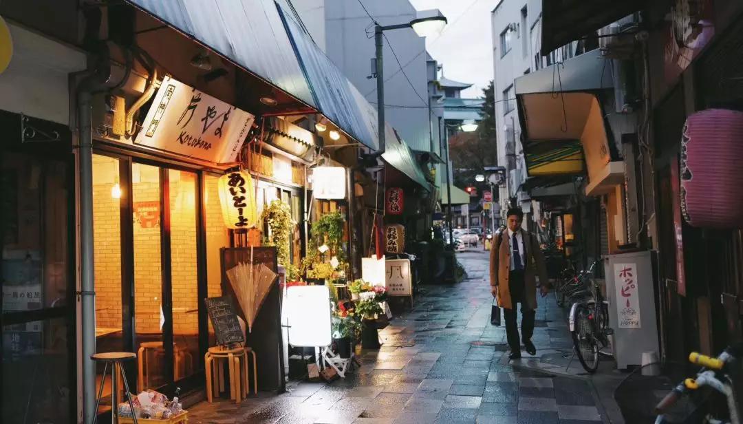 日本最好看的铁路,日本为什么热衷于东南亚铁路