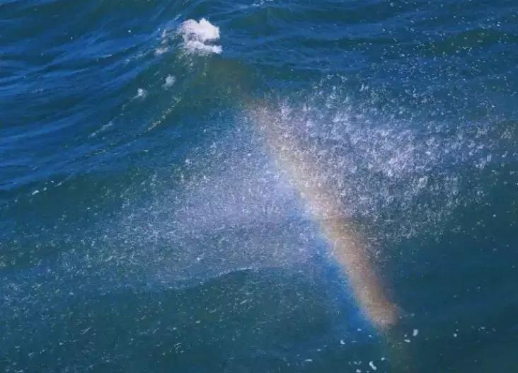 等一个人陪我旅游,等一个人陪我一起跨年