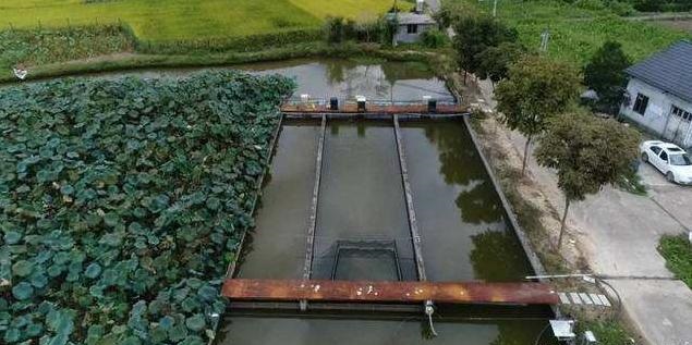 新型养鱼致富模式,养殖跑道养鱼养出新模式