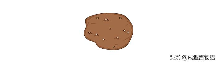 猫咪屁屁老是有稀便便是怎么回事,如何从猫咪便便判断是否生病