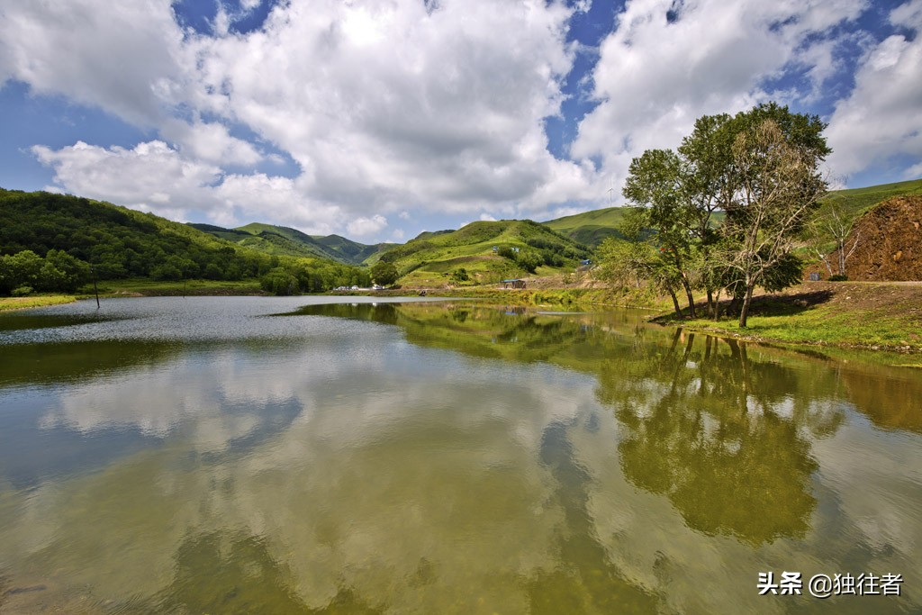 丰宁野花,丰宁坝上草原花海