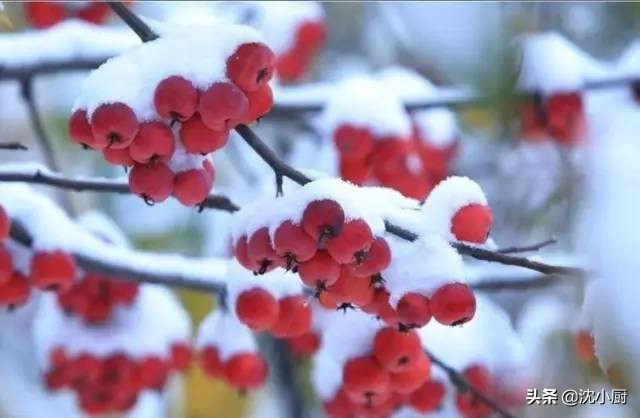 生活在赤峰为啥瘦不下来？这就是变胖的原因，没有之一