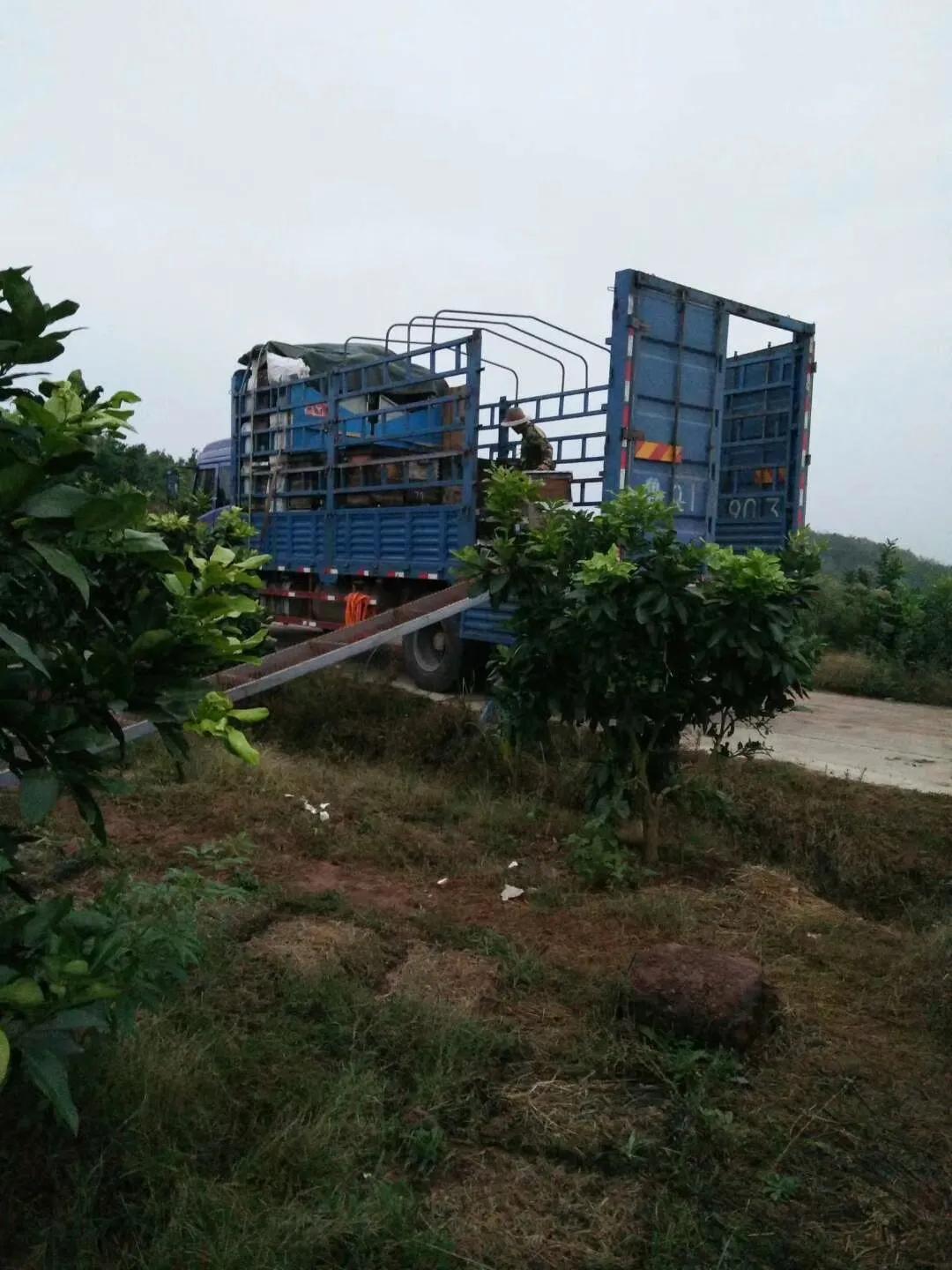 10几块一斤蜂蜜是真的吗 (网上二十几块钱一斤的蜂蜜)