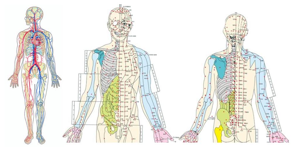 体内堵车虽然常见,置之不理后果很严重