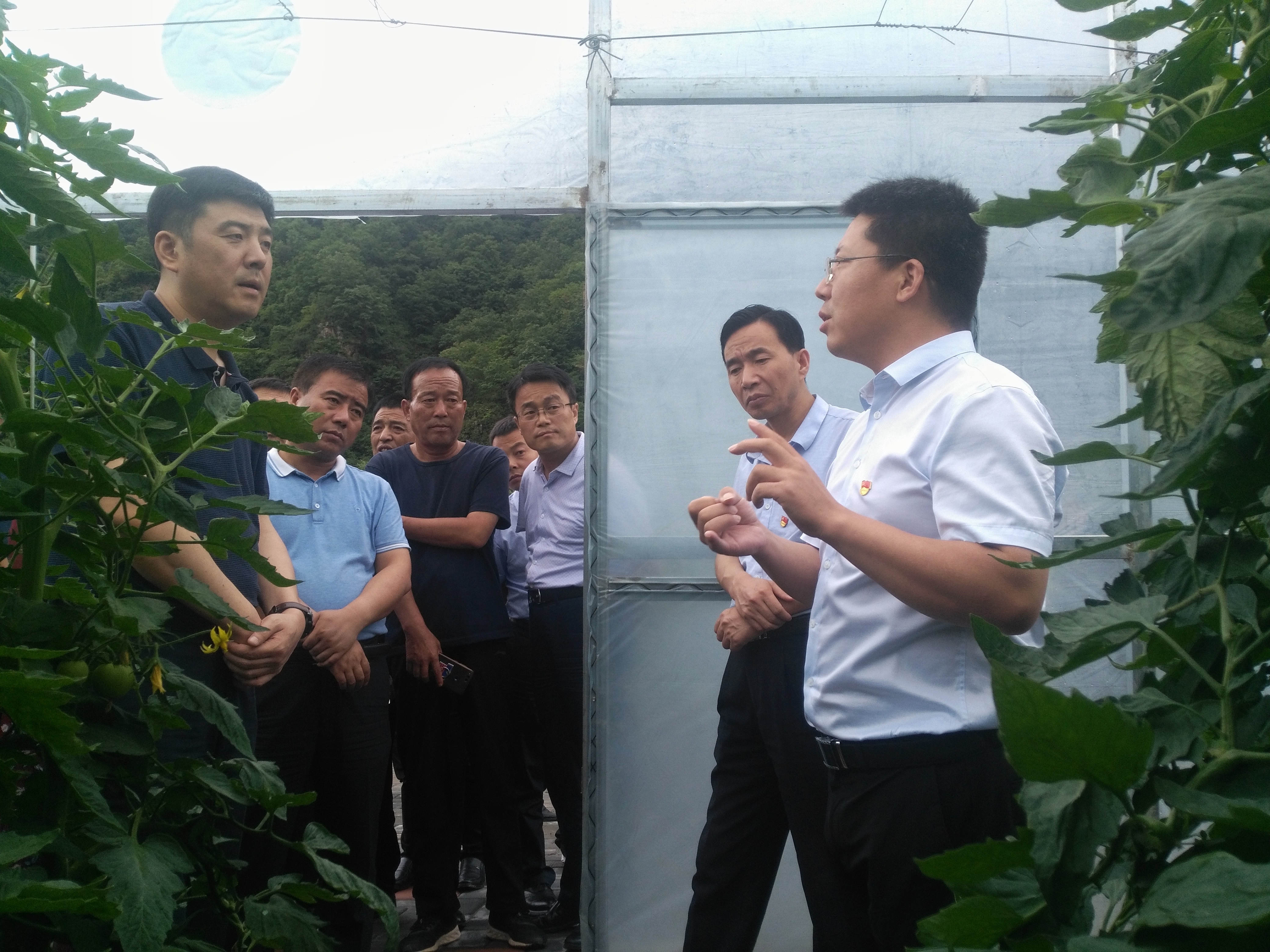 铜川市政府代表团来韩城考察,咸阳市党政代表团到西安考察