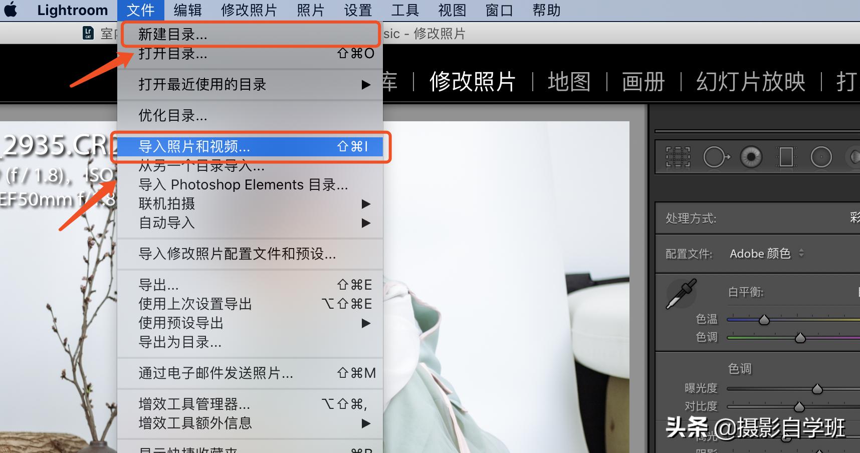 儿童拍稻田照片怎么拍出高级感,儿童摄影居家人像调色教程