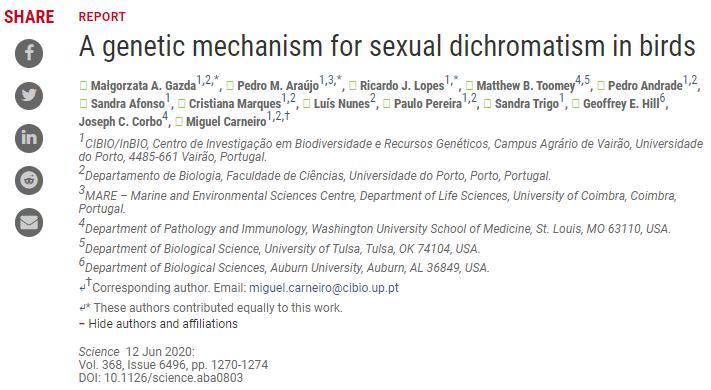 解决了近200年达尔文之问，不同性别的羽毛颜色由这个基因控制