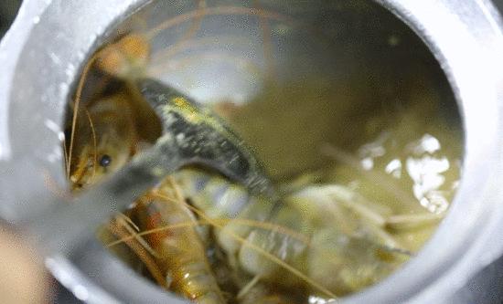 全网吃虾第一名,吃虾全网第一