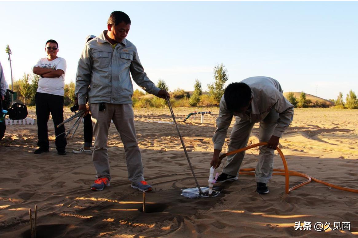 中国人改造沙漠的能力,中国人把沙漠变成绿洲