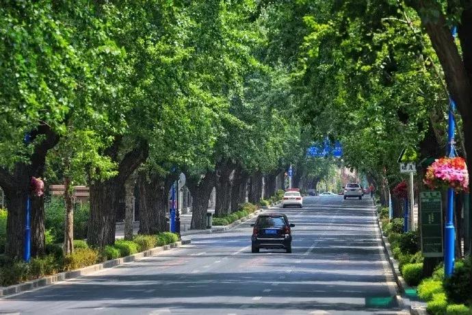 这个夏日25°C的宝藏城市美炸了！海岛、万国建筑、叮叮车..想去