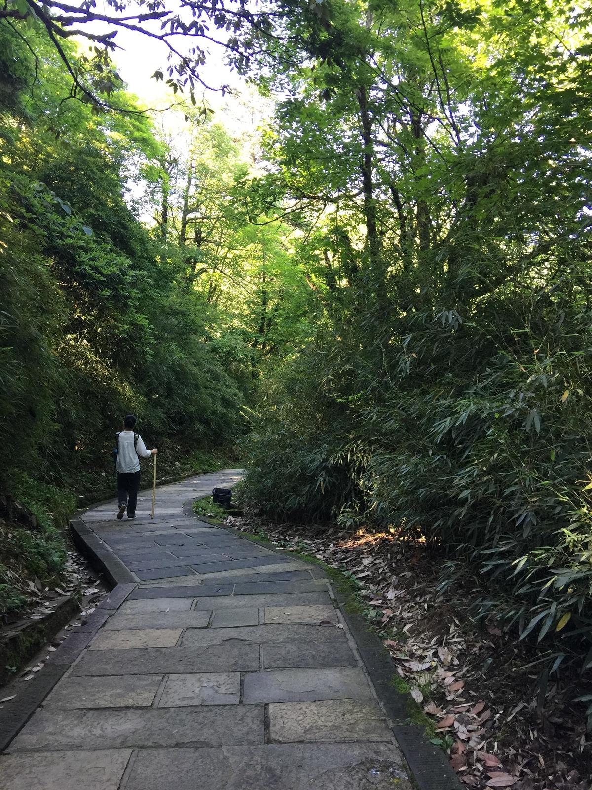 峨眉山登顶佛像,峨眉山登顶记完整版