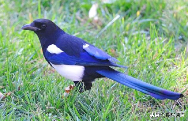 心理测试你的勾魂指数,心理测试你第一眼看什么数字