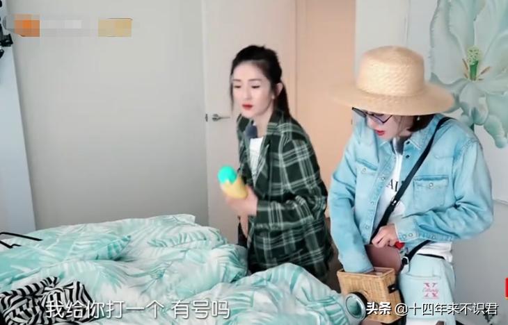 张嘉倪和妻子团,张嘉倪感情