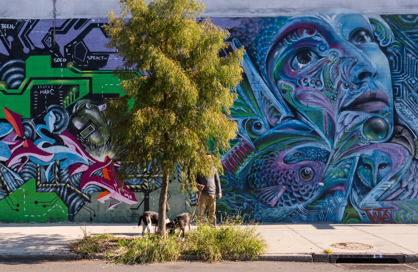 大城市的繁华景色纽约,纽约繁华的另一面