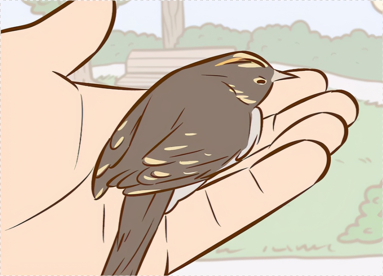 幼鸟从树上掉下来母鸟能救上去吗,幼鸟从树上的鸟巢中掉下来