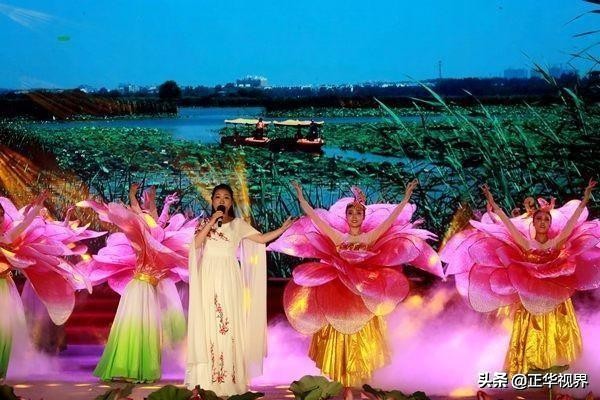 尽领龙湖风情品味水韵荷香2019淮阳龙湖赏荷旅游月精彩启幕