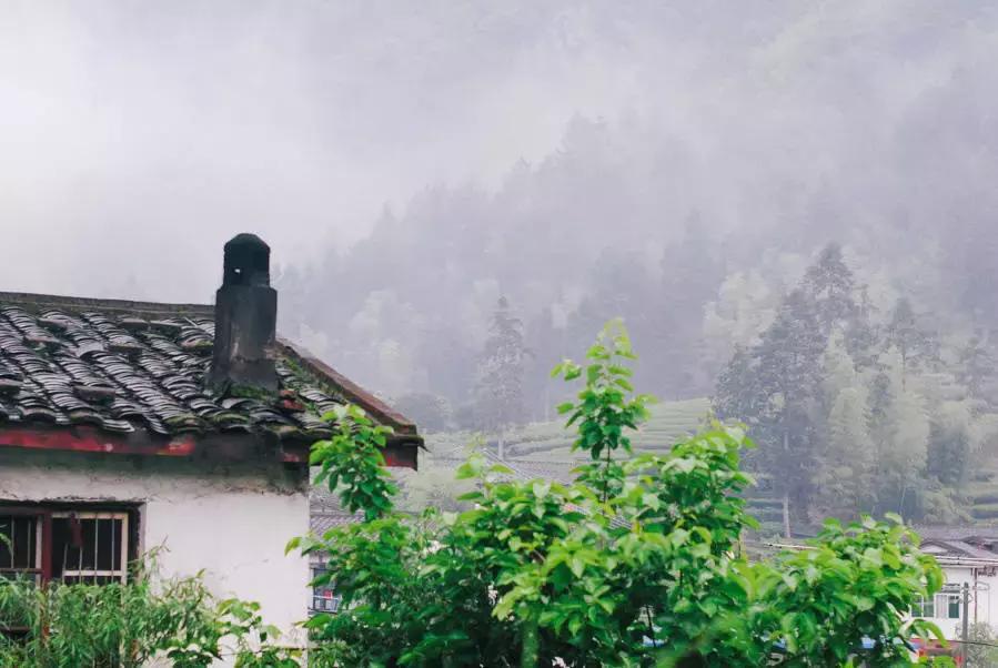 看清一个女人的最好方式很准,教你如何看清一个人