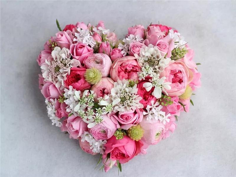 2019真实鲜花图片,2023鲜花爆款图文