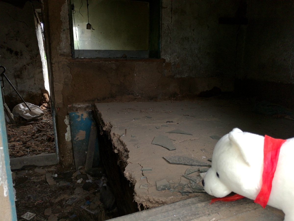 小熊地理,小熊地理知识点大全