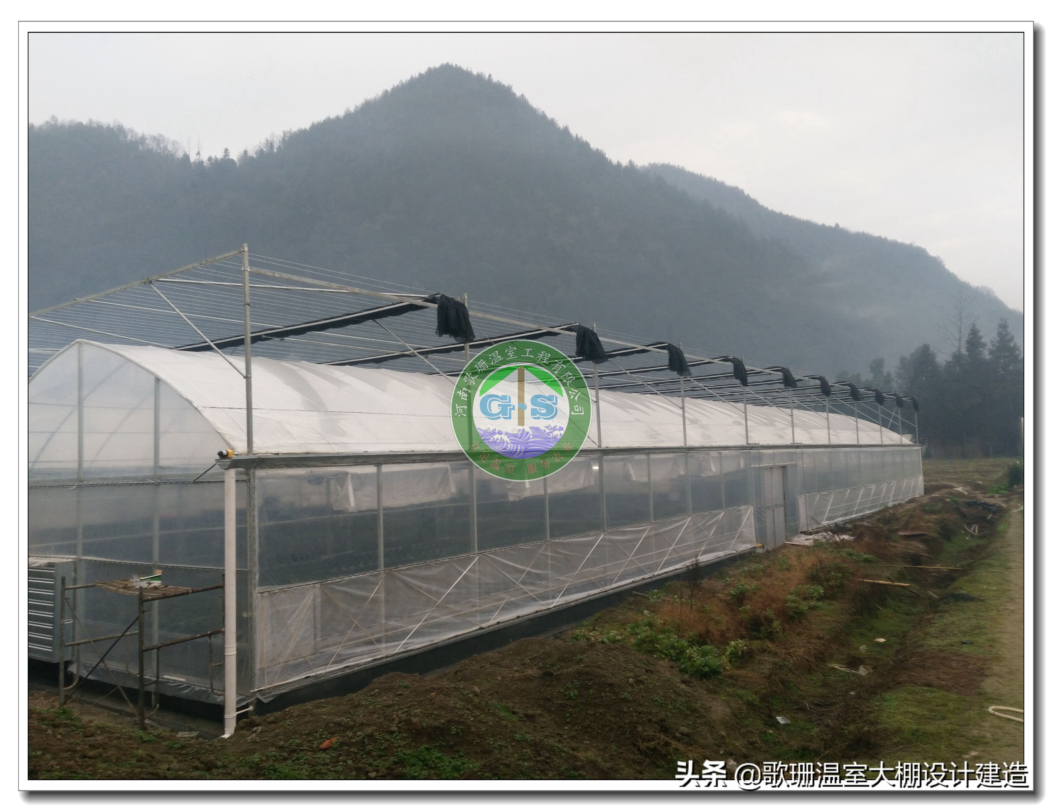 歌珊温室大棚设计,歌珊温室电话